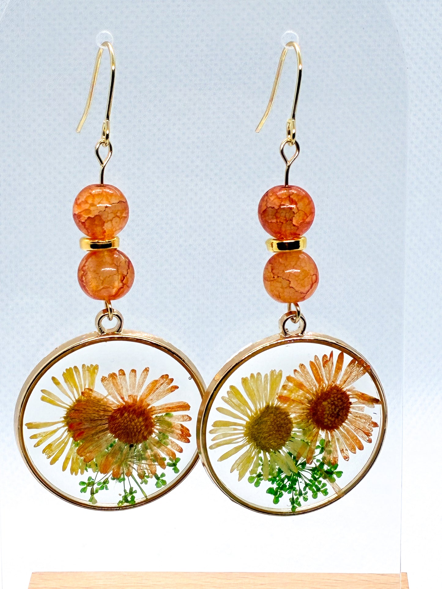 Orange Dried Flowers